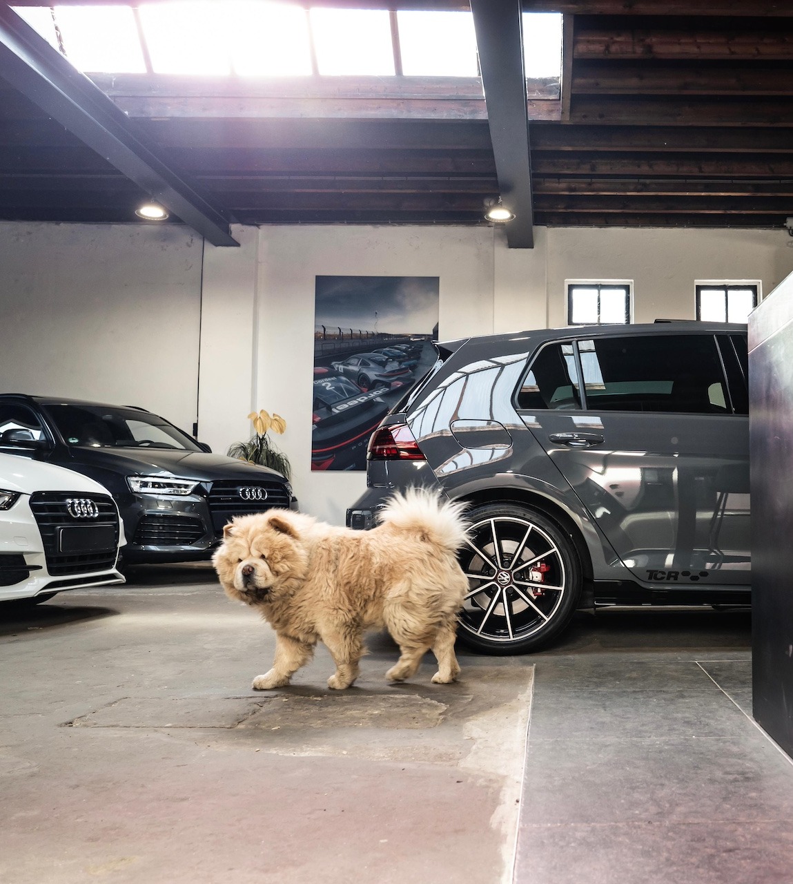 Header banner_images_0_1771942404246022332.jpg Over ons | Bijnen auto's